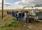 Bild-Nr.:  2023_10_14-014   Weinprobe mit dem BSC Einhausen 2023 •   Brennweite:  50mm •  Blende:  2.8 •  Belichtungszeit:  1/800s •  ISO:  100 •  Blitz:  Nein •  Fotograf:  Enrico Hof