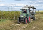 Bild-Nr.:  2023_10_14-022   Weinprobe mit dem BSC Einhausen 2023 •   Brennweite:  50mm •  Blende:  6.3 •  Belichtungszeit:  1/500s •  ISO:  400 •  Blitz:  Nein •  Fotograf:  Enrico Hof