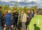 Bild-Nr.:  2023_10_14-026   Weinprobe mit dem BSC Einhausen 2023 •   Brennweite:  50mm •  Blende:  5.0 •  Belichtungszeit:  1/2500s •  ISO:  400 •  Blitz:  Nein •  Fotograf:  Enrico Hof